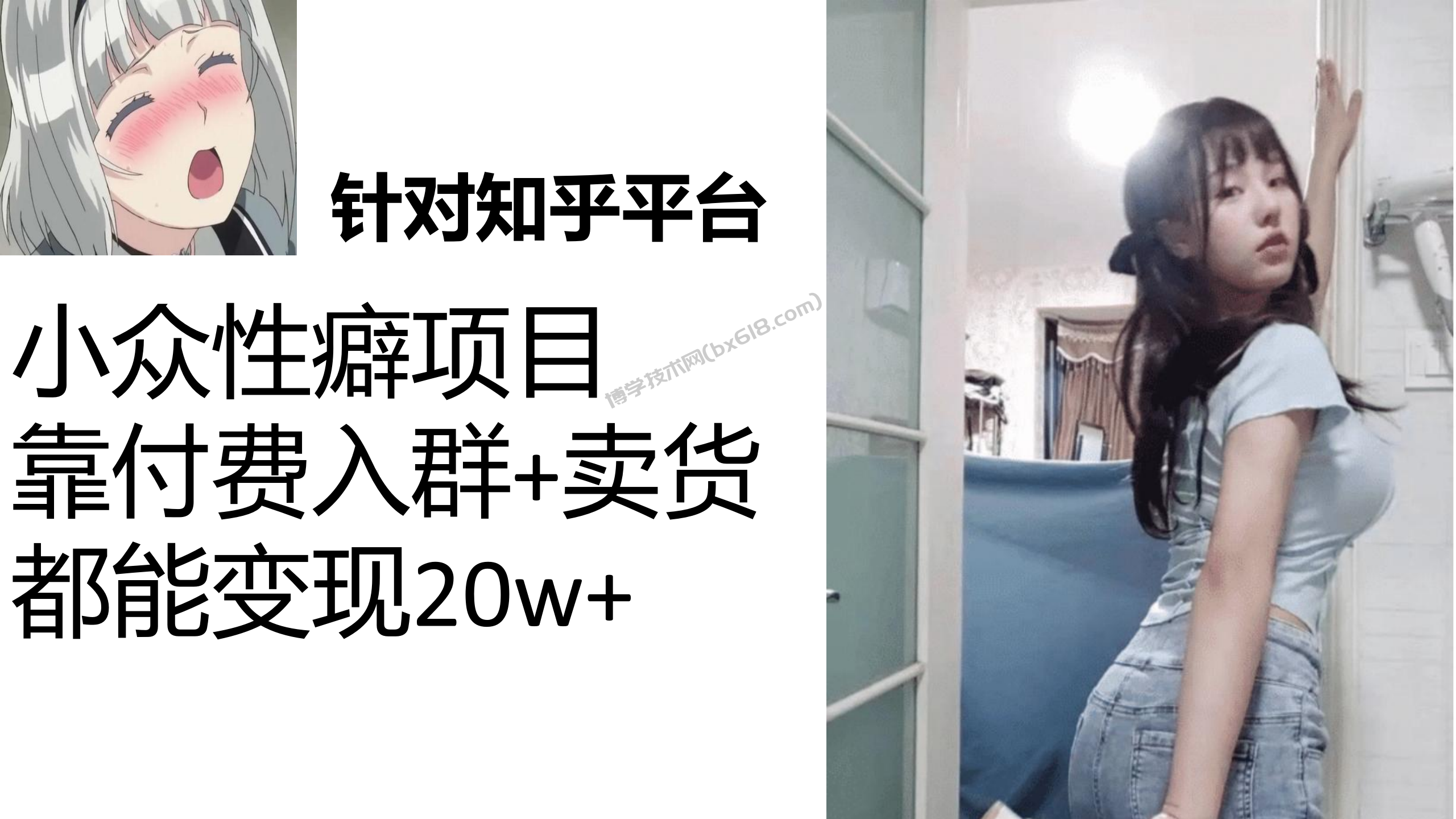 知乎小众性癖项目，Lsp的钱才是最好赚的，付费建群+卖货变现20w-博学技术网