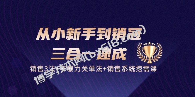 从小新手到销冠三合一速成：销售3法+非暴力关单法+销售系统挖需课 (27节)-博学技术网