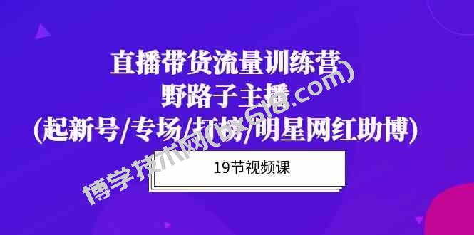 直播带货流量特训营，野路子主播(起新号/专场/打榜/明星网红助博)-博学技术网