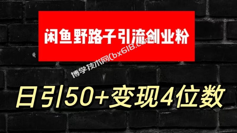 大眼闲鱼野路子引流创业粉，日引50+单日变现四位数-博学技术网
