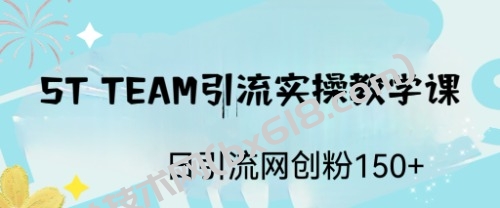 ST TEAM引流实操课，日引流网创粉100+-博学技术网