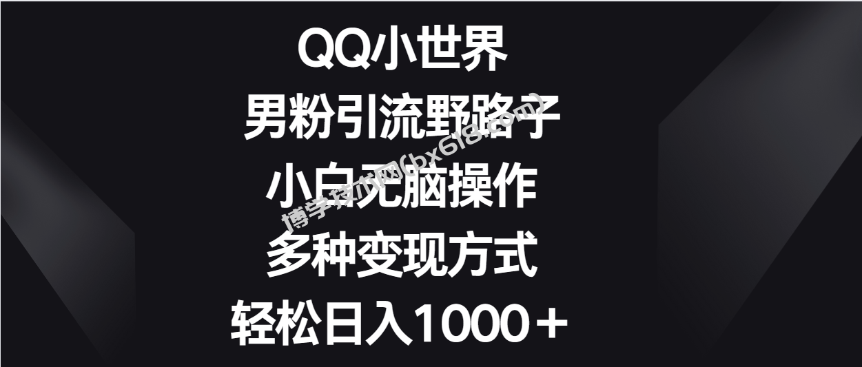 QQ小世界男粉引流野路子，小白无脑操作，多种变现方式轻松日入1000＋-博学技术网