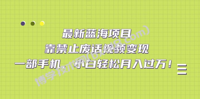 最新蓝海项目，靠禁止废话视频变现，一部手机，小白轻松月入过万！-博学技术网