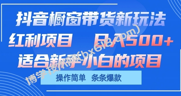 抖音橱窗带货新玩法，单日收益几张，操作简单，条条爆款-博学技术网