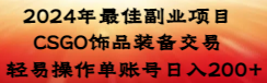 2024年最佳副业项目 CSGO饰品装备交易 轻易操作单账号日入200+-博学技术网