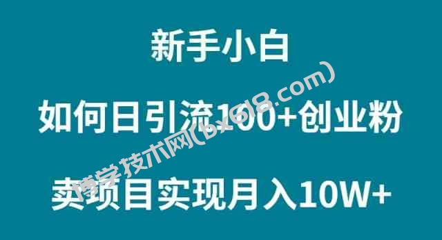 （9556期）新手小白如何通过卖项目实现月入10W+-博学技术网