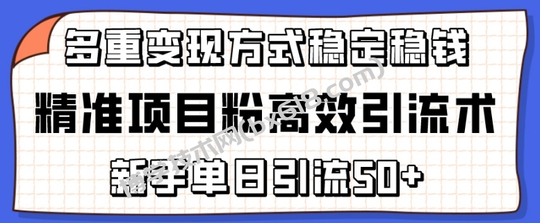 精准项目粉高效引流术，新手单日引流50+，多重变现方式稳定赚钱-博学技术网
