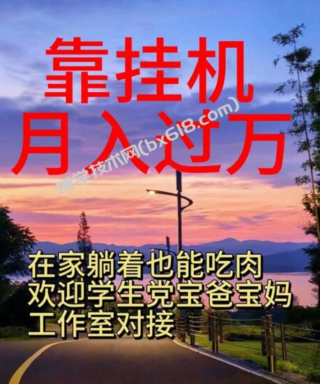 （10838期）靠挂机，日入1000+，躺着也能吃肉，适合宝爸宝妈学生党工作室，电脑手…-博学技术网