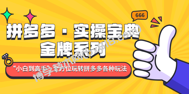 拼多多·实操宝典：金牌系列“小白到高手”带你全方位玩转拼多多各种玩法-博学技术网