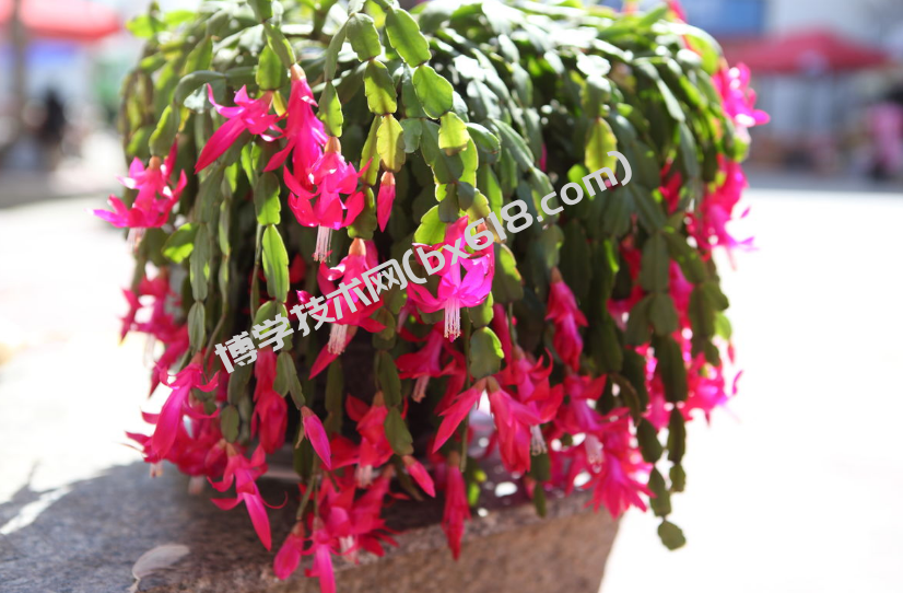 20240831150520245-b3a36dfaa9390fb5-a04a2a3eb3855c05-26a2863479d706aa79dd03f9dabc5ee4