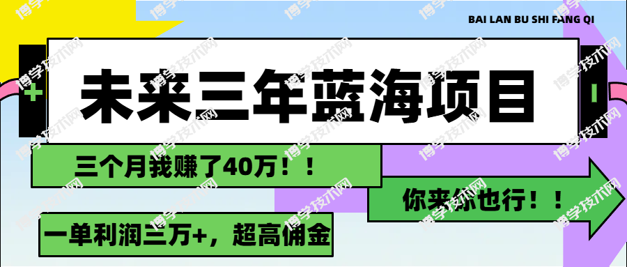 未来三年，蓝海赛道，月入3万+-博学技术网