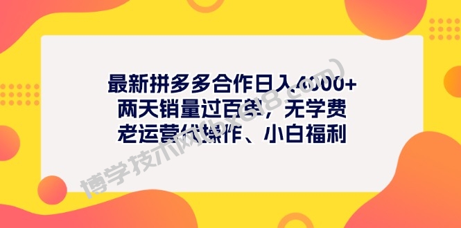 最新拼多多项目日入4000+两天销量过百单，无学费、老运营代操作、小白福利-博学技术网
