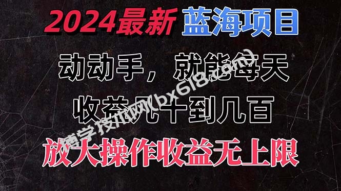 有手就行的2024全新蓝海项目，每天1小时收益几十到几百，可放大操作-博学技术网