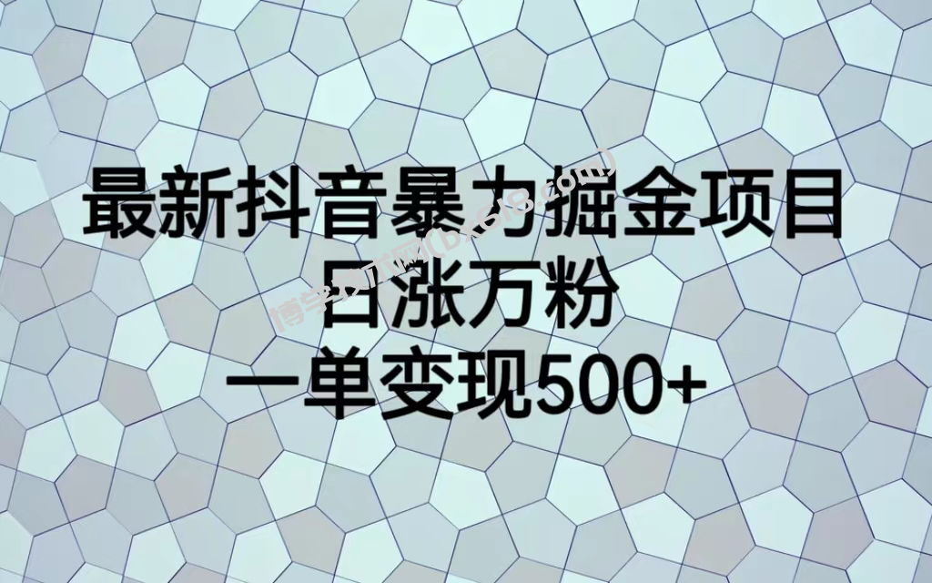 最火热的抖音暴力掘金项目，日涨万粉，多种变现方式，一单变现可达500+-博学技术网