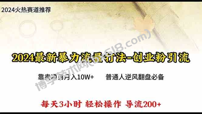 （10151期）2024年最新暴力流量打法，每日导入300+，靠卖项目月入10W+-博学技术网