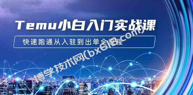 （9295期）Temu小白入门实战课：跨境拼多多电商培训 快速跑通从入驻到出单全流程-12节-博学技术网