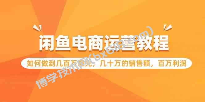 （9560期）闲鱼电商运营教程：如何做到几百万曝光，几十万的销售额，百万利润.-博学技术网