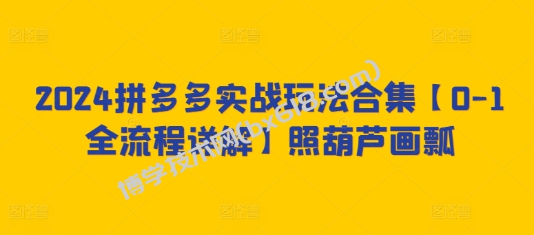 2024拼多多实战玩法合集【0-1全流程详解】照葫芦画瓢-博学技术网