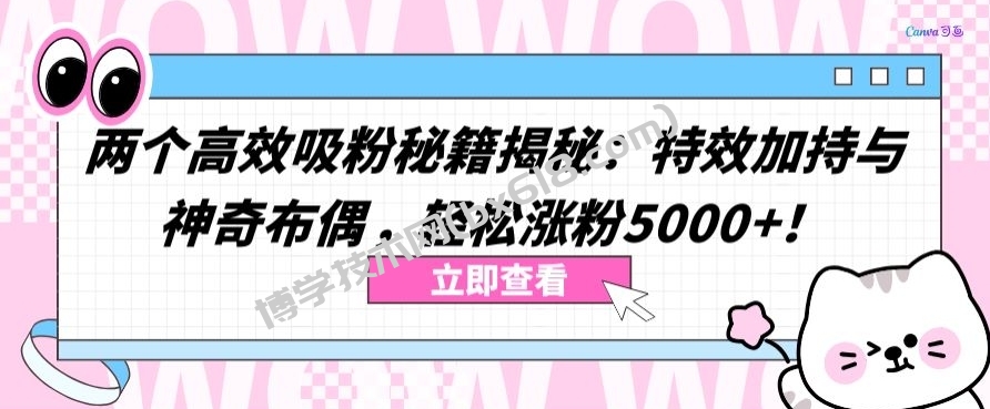 两个高效吸粉秘籍揭秘：特效加持与神奇布偶，轻松涨粉5000+-博学技术网