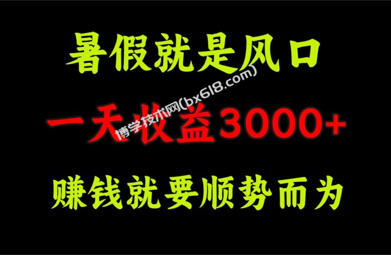 一天收益3000+ 赚钱就是顺势而为，暑假就是风口-博学技术网