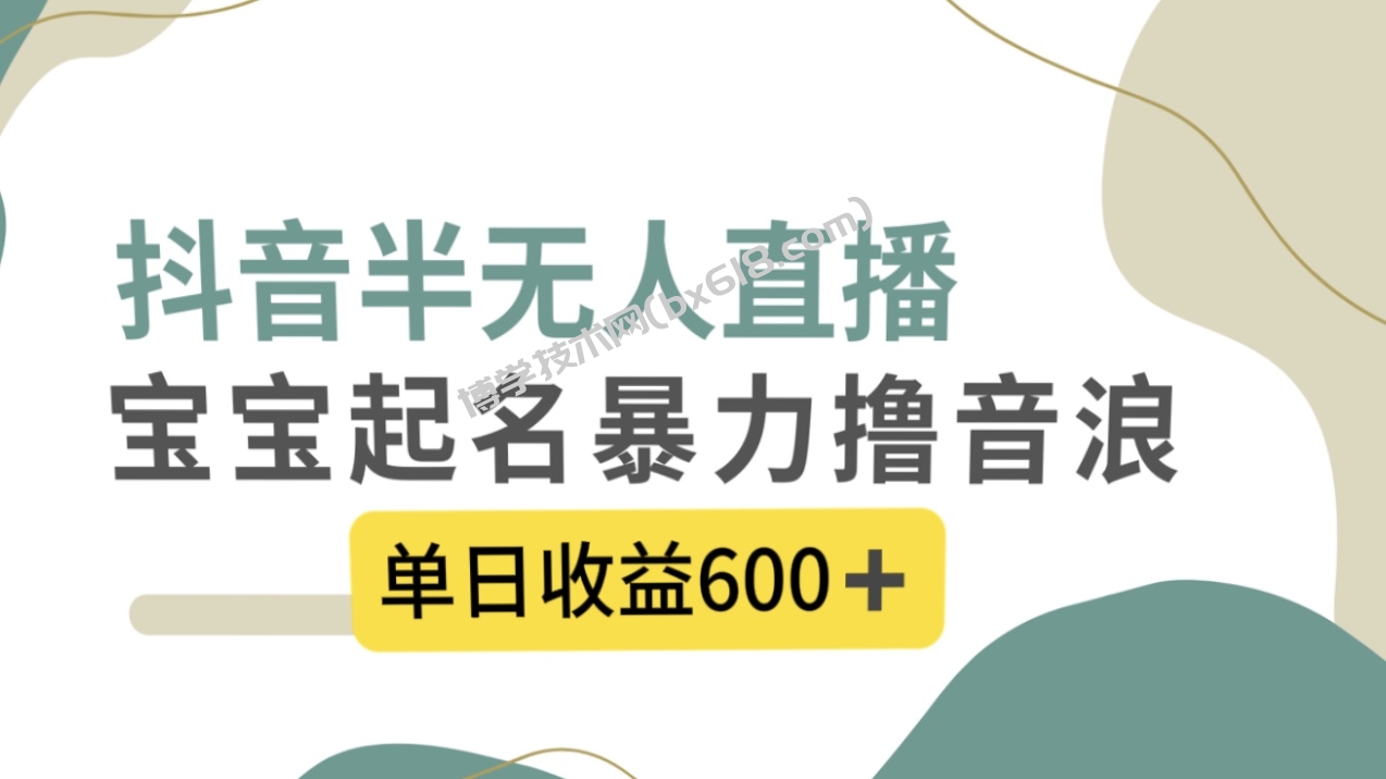 抖音半无人直播，宝宝起名，暴力撸音浪，单日收益600+-博学技术网