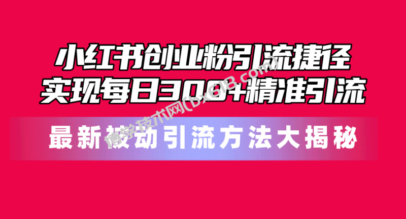 (10692期)小红书创业粉引流捷径!最新被动引流方法大揭秘,实现每日300+精准引流-博学技术网