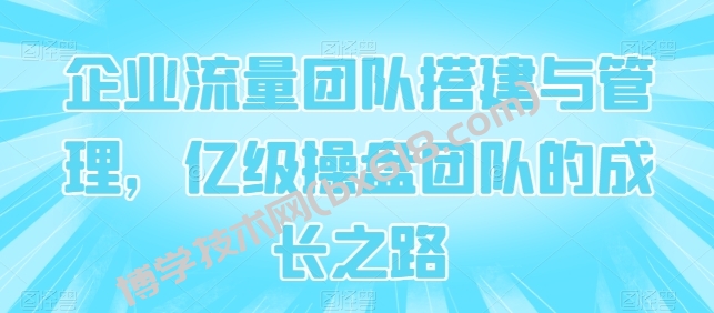企业流量团队搭建与管理，亿级操盘团队的成长之路-博学技术网