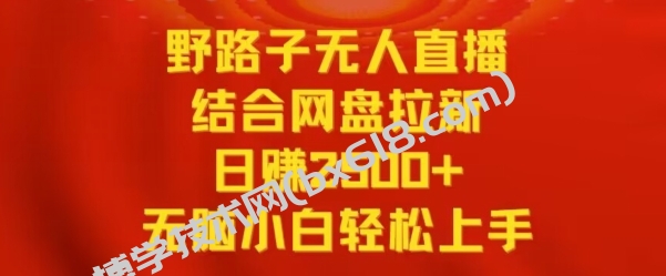 野路子无人直播结合网盘拉新，日赚2500+，小白无脑轻松上手-博学技术网