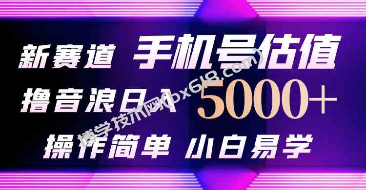 （10154期）抖音不出境直播【手机号估值】最新撸音浪，日入5000+，简单易学，适合…-博学技术网
