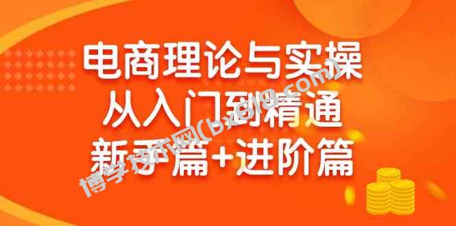 （9576期）电商理论与实操从入门到精通 新手篇+进阶篇-博学技术网