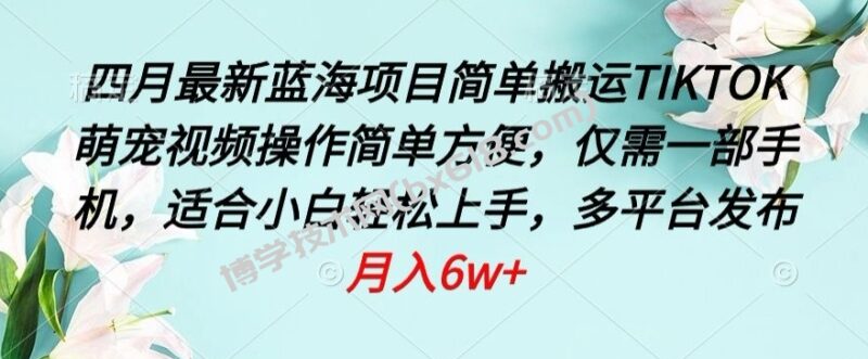 四月最新蓝海项目，简单搬运TIKTOK萌宠视频，操作简单方便，仅需一部手机-博学技术网