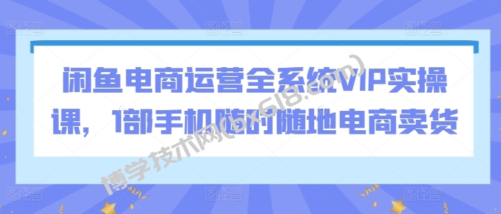 闲鱼电商运营全系统VIP实操课，1部手机随时随地电商卖货-博学技术网