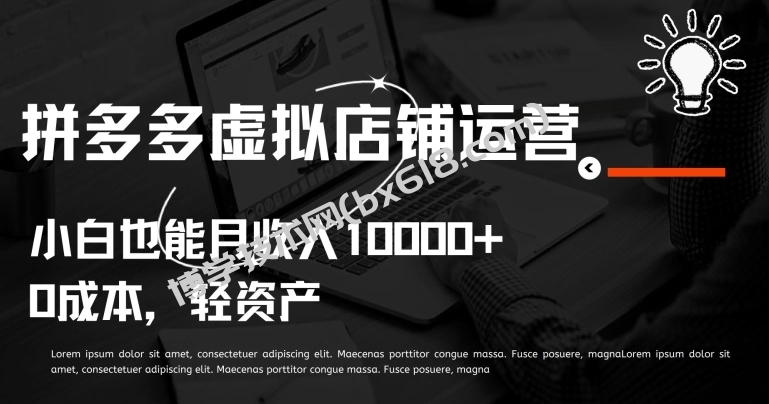 拼多多虚拟店铺运营小白也能月收入10000+-博学技术网