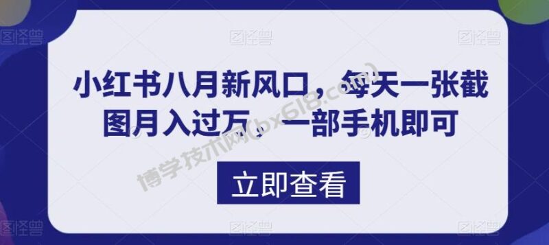 八月新风口,小红书虚拟项目一天收入1000+,实战揭秘-博学技术网