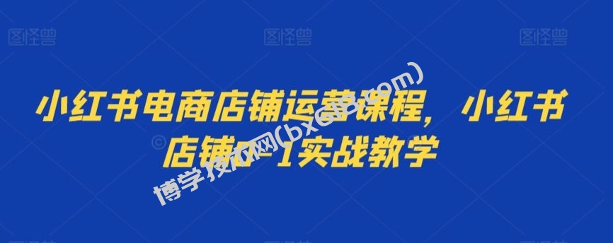 小红书电商店铺运营课程，小红书店铺0-1实战教学-博学技术网