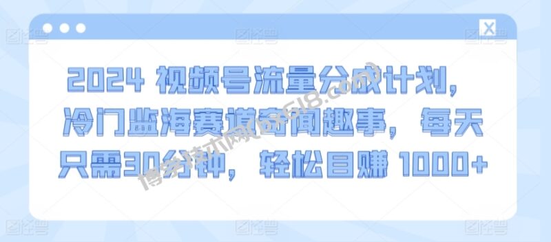 2024视频号流量分成计划,冷门监海赛道奇闻趣事,每天只需30分钟,轻松目赚 1000+-博学技术网