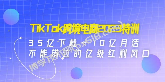 TikTok跨境电商2023特训：35亿下载＋10亿月活，不能错过的亿级红利风口-博学技术网