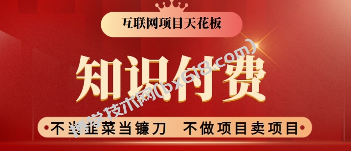 2024互联网项目天花板，新手小白也可以通过知识付费月入10W，实现财富自由-博学技术网