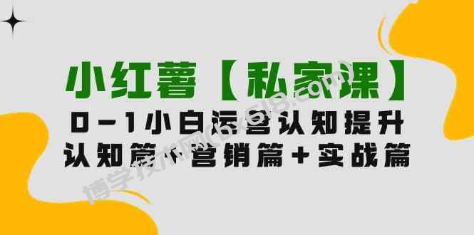 （9910期）小红薯【私家课】0-1玩赚小红书内容营销，认知篇+营销篇+实战篇（11节课）-博学技术网
