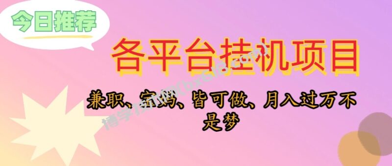 （10642期）靠挂机，在家躺平轻松月入过万，适合宝爸宝妈学生党，也欢迎工作室对接-博学技术网