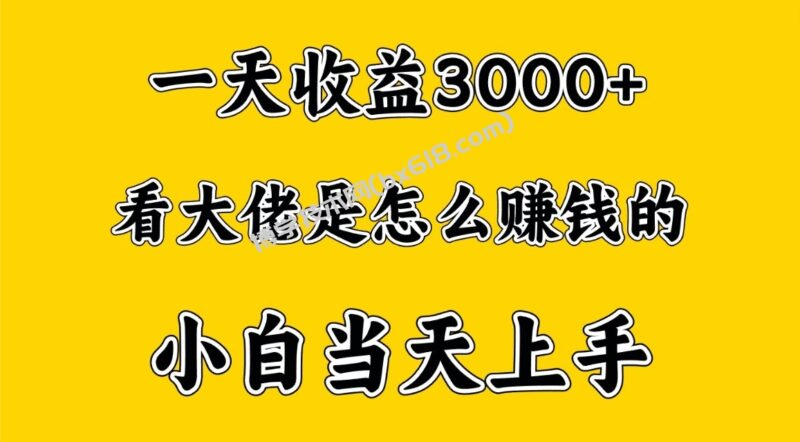 一天赚3000多，大佬是这样赚到钱的，小白当天上手，穷人翻身项目-博学技术网