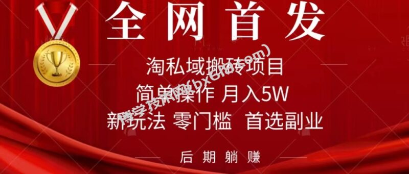 淘私域搬砖项目,利用信息差月入5W,每天无脑操作1小时,后期躺赚-博学技术网