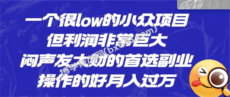 一个很low的小众项目，但利润非常巨大，闷声发大财的首选副业，月入过万-博学技术网