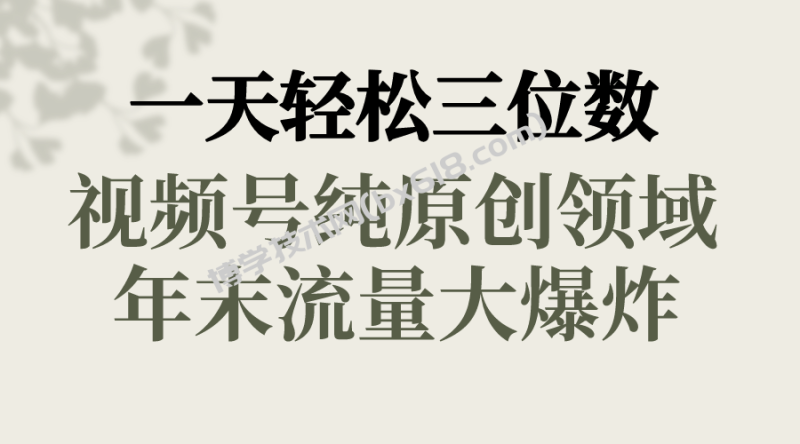 一天轻松三位数，视频号纯原创领域，春节童子送祝福，年末流量大爆炸，-博学技术网