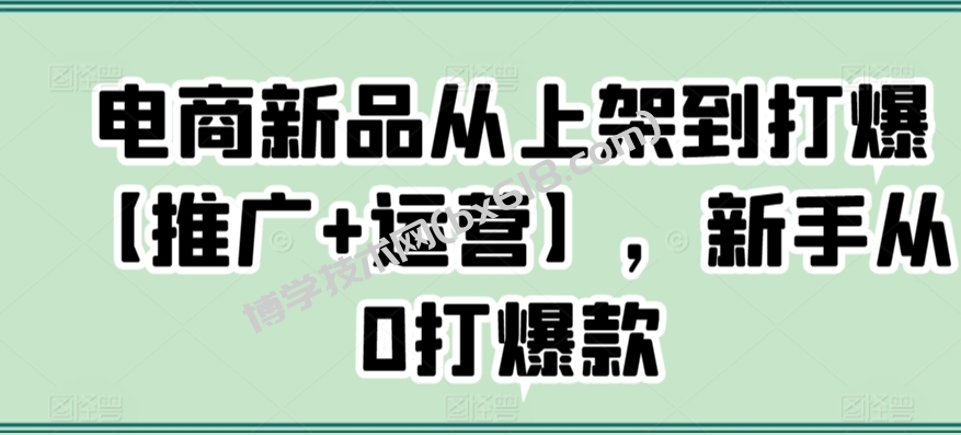 电商新品从上架到打爆【推广+运营】，新手从0打爆款-博学技术网