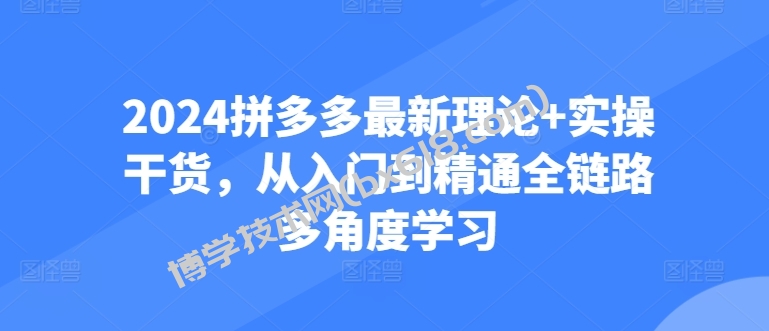 2024拼多多最新理论+实操干货，从入门到精通全链路多角度学习-博学技术网