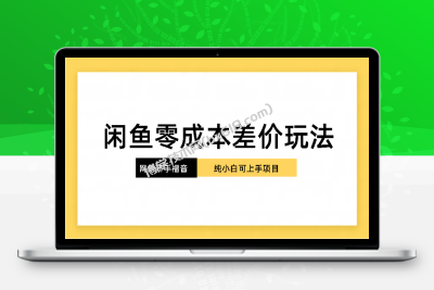 纯小白，网创新人项目，闲鱼零成本差价玩法-博学技术网