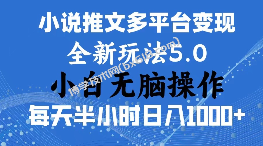 2024年6月份一件分发加持小说推文暴力玩法 新手小白无脑操作日入1000+-博学技术网